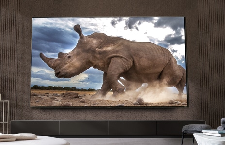 Un animal enorme aparece en el televisor ultra grande.